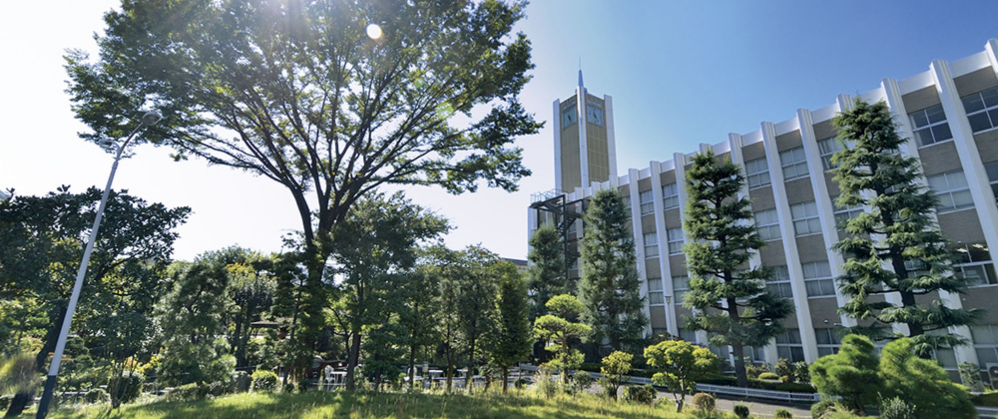 教育・研究へのご支援