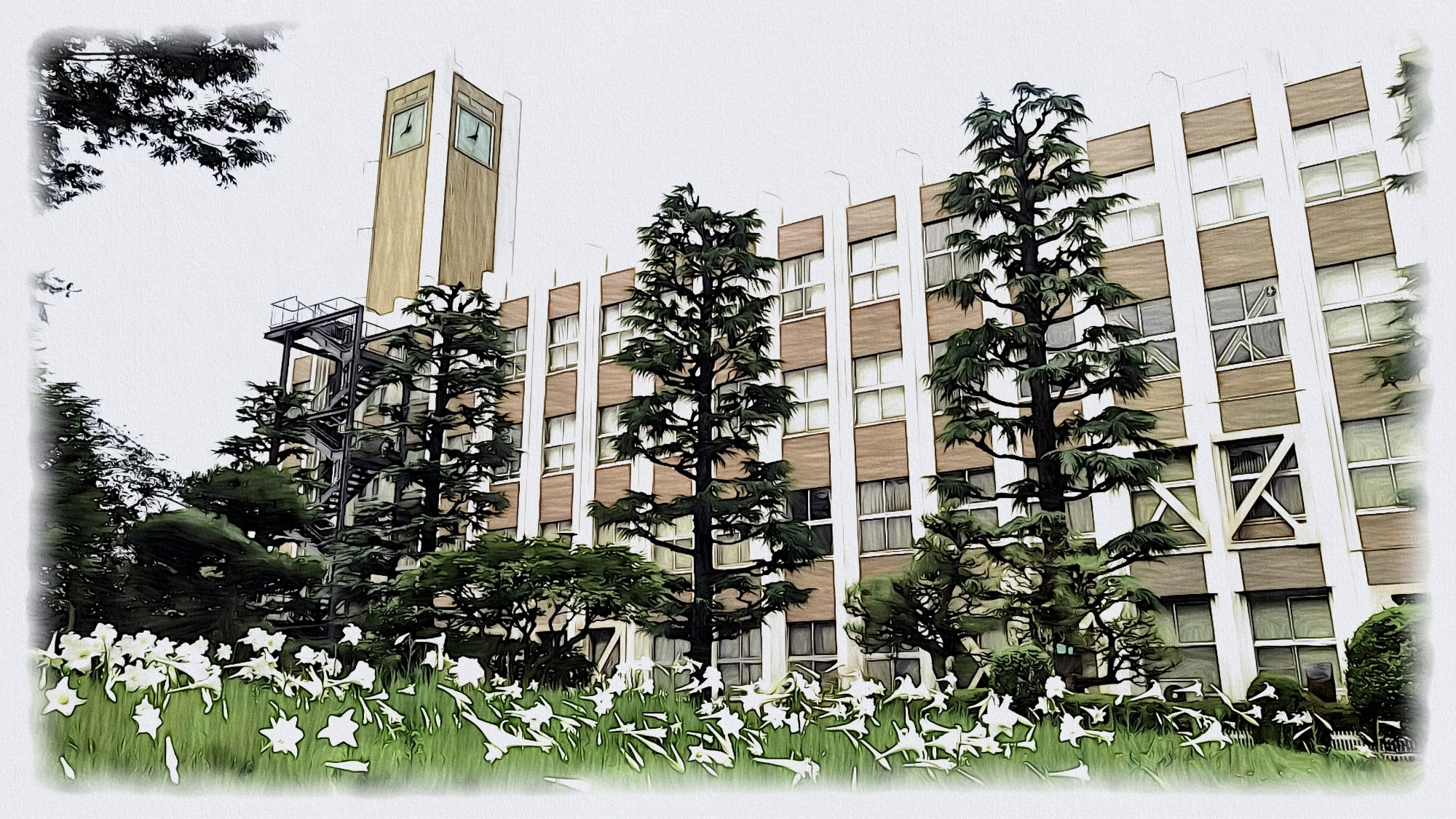 教育・研究へのご支援
