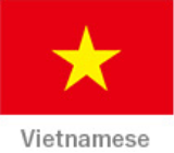 Vietnamese Language